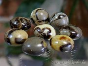 Septarian