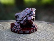 IMG_9352