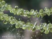 img_1176-copy